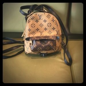 Louis Vuitton reverse mini back pack
